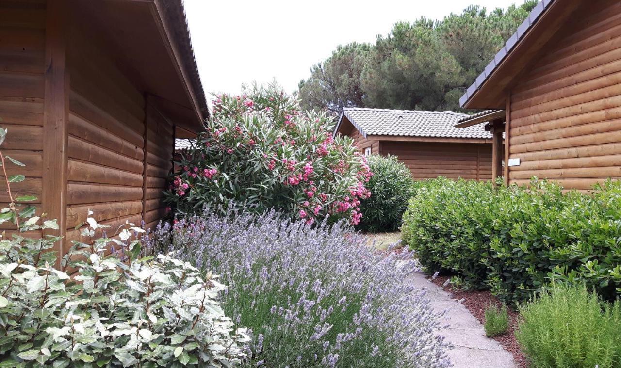 Parc Residentiel Les Hauts De Baldy Otel Agde Dış mekan fotoğraf